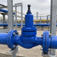 Válvula de Protección Contra Sobrepresión de Tuberías, Autoaccionada, Control Hidráulico, Conexión con Brida DN25, OEM, Suministro de Agua Municipal