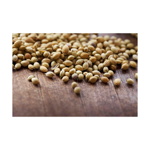 Semillas de Cilantro Marrón de Alta Calidad, Semillas de Cilantro Naturales - Product Image 1