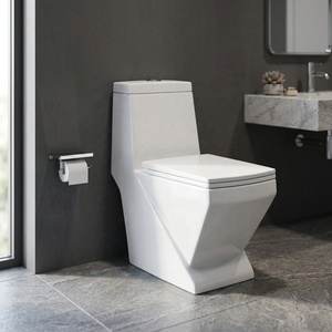 WC monobloc en céramique blanc à double chasse Vistaar Brand Wholesale NOM Standard - Product Image 4