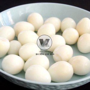 ไข่นกกระทาดองเกลือสดใหม่ 100% ขายส่ง |   โปรตีนพร้อมรับประทานมาตรฐานส่งออกพรีเมียม อายุการเก็บรักษา 24 เดือน เวียดเดลต้า - Product Image 3