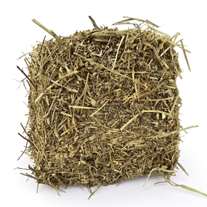 Premium BIGWANI Brand A+ Grade Peanut <b>Straw</b> Hay <b>Bales</b> High Fiber Animal Feed Fodder for Cattle Sheep 2 Year Shelf Life 8-12% - Product Image 1