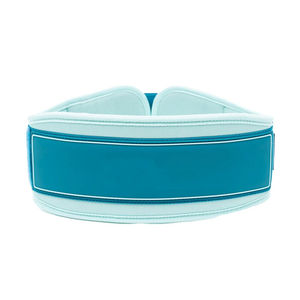 Cinturón de Levantamiento de Pesas Reforzado con Soporte Lumbar Acolchado Grueso y Cadena de Acero Ajustable para Dominadas con Peso, Flexiones y Sentadillas - Product Image 5