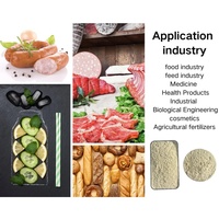 Poudre de protéines de levure 75% 80% de qualité alimentaire, compléments nutritionnels sportifs