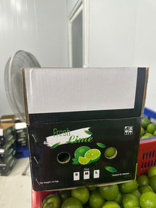 มะนาวไร้เมล็ดมาตรฐานส่งออกจากเวียดนามเปลือกสะอาดและกลิ่นหอมแรงเหมาะสำหรับร้านอาหารซูเปอร์มาร์เก็ตและบาร์น้ำผลไม้ - Product Image 6