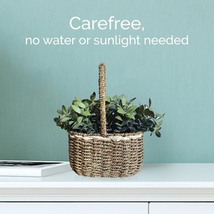 ตะกร้าเก็บของจากหญ้าทะเลพร้อมหูหิ้วสูง ตะกร้าเก็บของทำมือ ขายส่ง เป็นมิตรกับสิ่งแวดล้อม ผลิตในเวียดนาม - Product Image 3