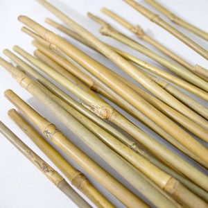 Cheap price bamboo canes <b>for</b> sale durable cane <b>pole</b> crafting decor materials wholesale factory supply - Product Image 1