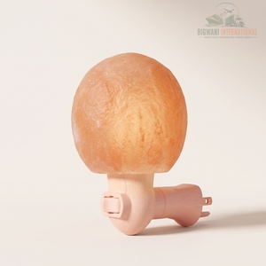Lampe de nuit à brancher en forme de boule/globe de sel de roche de l'Himalaya, sculptée à la main, sphère ronde, décoration murale, lumière pour chambre et couloir - Product Image 2