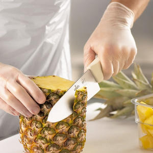 Clear PVC Bergamot Healthcare Supply Gloves CE & ISO Certified Sizes XS-XL - Product Image 6