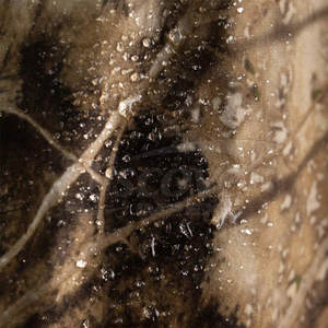 Chaqueta de Caza Multibolsillos a Precio de Mayoreo, Chaqueta de Caza con Protección, Chaqueta de Caza para Hombre - Product Image 6