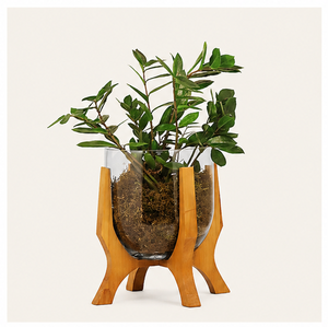 Support à plantes en bois moderne, fait main, en bois massif, pour plantes d'intérieur, pour salon, bureau, décoration de la maison, présentoir de table - Product Image 1
