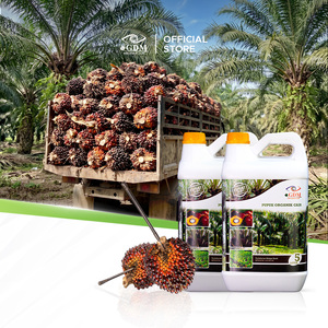 Fertilizante Líquido Orgánico para Plantaciones de Palma Aceitera, Acondicionador de Suelo para el Crecimiento de Raíces, Aditivo Nutritivo de Liberación Rápida - Product Image 2
