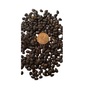 Premium Quality Hot Sale Cheap Price Factory In Vietnam Pure Dried Passion Fruit <b>Seeds</b> <b>Packed</b> in 1kg Bag - Product Image 1