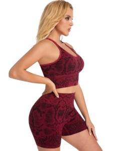 Women <b>Yoga</b> Workout <b>Set</b> Sports Bra and High Waist Shorts Seamless Gym Fitness Outfit Breathable Stretch Running Activewear - Product Image 5