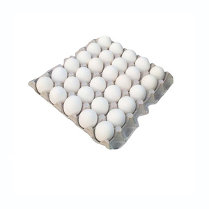 Œufs de poulet frais de qualité supérieure en gros à prix avantageux – Fournisseur en gros d'œufs de poulet frais à vendre - Product Image 4