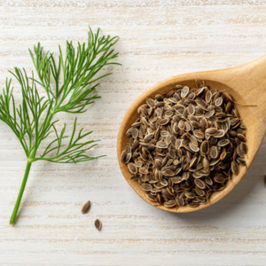 เมล็ดยี่หร่าอินเดียแท้ คุณภาพพรีเมียม สดใหม่จากฟาร์ม กลิ่นหอมเข้มข้น สำหรับขายส่ง ส่งออก และผู้ซื้อระหว่างประเทศ - Product Image 1