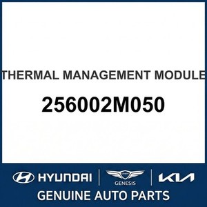 Elantra Nuevo, Otras Piezas y Accesorios para Autos y Camionetas 256002M050 - Product Image 1