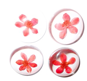 Viola Herb Flower - Espécimen de Planta Real en Cabujón de Plástico Redondo de 35x35 mm con Base Plana Transparente para Manualidades y Joyería - Product Image 3