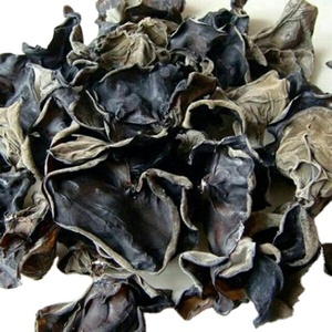 Hongos de Oreja de Árbol Negros en Rodajas, También Conocidos como Hongos de Nube, Mejora tus Platos con Nuestro Producto Premium ANGLE - Product Image 3