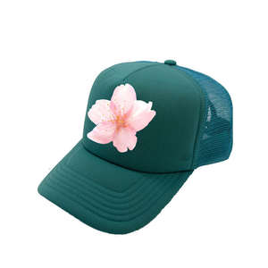 Gorra Deportiva Casual Unisex con Logotipo Personalizado, Alta Calidad, 100% Algodón Canvas, Ligera, Ecológica, con Transferencia por Sublimación en Relieve - Product Image 4