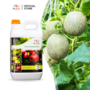 Engrais liquide organique 100% naturel GDM pour arbres fruitiers, améliore la nutrition du sol, le développement des racines, la croissance des plantes et la floraison - Product Image 2