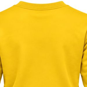 เสื้อสเวตเชิ้ตคอกลมผู้หญิง Sigma Gamma Rho สีเหลือง ลายกรีก ตัวอักษรกรีก ลายกราฟิก มหาวิทยาลัย แฟชั่นลำลอง สตรีทแฟชั่น - Product Image 5