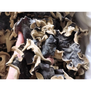 Champignons noirs séchés de qualité supérieure, naturellement séchés pour garantir la sécurité, l'apparence et une qualité fiable à long terme - Product Image 5