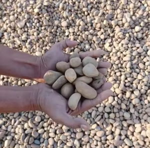 <b>Silica</b> Gravels - Product Image 1