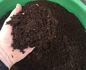 Vermicompost organique granulaire, amendement du sol pour la croissance des plantes, engrais écologique - Product Image 1