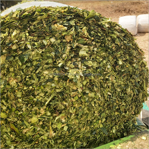 Ensilaje de Maíz Premium de Vietnam – Forraje Fermentado de Alta Energía para Ganado Lechero, Ganado de Engorde y Alimentación de Rumiantes - Product Image 5