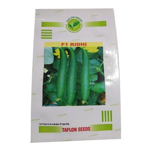 Sponge Gourd Seeds High-Yield Ready for Farming - Product Image 3