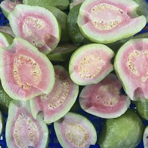 Guayaba Congelada IQF al por Mayor, Entera y en Mitades |   Exportadora de Frutas Tropicales Congeladas Naturales de Vietnam - Sra. Grace - Product Image 3