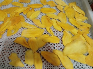Mango Deshidratado de Textura Suave, Producto de Vietnam, Ideal para Marcas de Snacks, Servicios de Alimentación y Uso como Ingrediente - Product Image 6