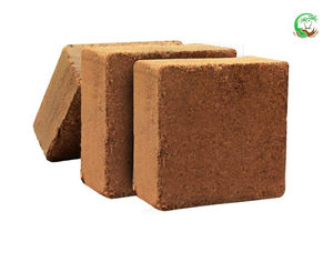 มะพร้าวมะพร้าวมะพร้าวแบบบล็อค5กก. การขยายตัวสูงไม่มีสิ่งสกปรกสำหรับการจัดหาที่เชื่อถือได้และระยะยาวจากอินเดีย - Product Image 1