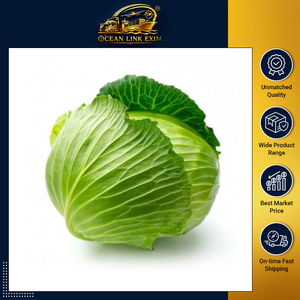 Chou frais de qualité supérieure, cultivé en ferme, légumes crucifères, pour la cuisson et la transformation alimentaire, durée de conservation de 6 mois, vente en gros Gujarat - Product Image 3