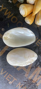 Pinano Inlay Folk Art Mother of Pearl Craft Shape Cut Polished Abalone Shell Sheet Fragment Vietnam Art Accessory Factory Price - Product Image 3