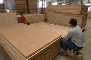 ไม้อัดอะคาเซียฟีนอลิกคุณภาพสูง กันน้ำ ใช้สำหรับงานอัลเคมี การทำอาหาร หรืองานฝีมือ จากผู้ผลิตเวียดนาม - Product Image 5