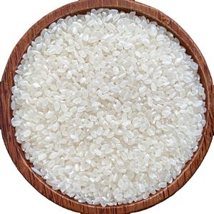 Japonica ข้าวขาวทรงกลมแบบสั้นญี่ปุ่นข้าวซูชิจากเวียดนามผู้ผลิตในเวียดนาม + 84-915355383 - Product Image 2