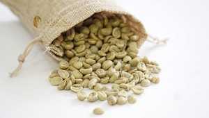 Granos de Café Verde Robusta de Alta Calidad de Vietnam, Tamaño 18, con 0.1% de Grano Negro y Partido, Certificado por el USDA, Suministro a Granel, Marca TNFOOD - Product Image 4