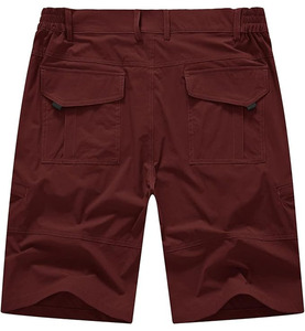 Shorts décontractés pour hommes en molleton 100 % coton, coupe classique, taille haute élastique, brodés, anti-plis, multi-poches, couleur et logo personnalisables - Product Image 2