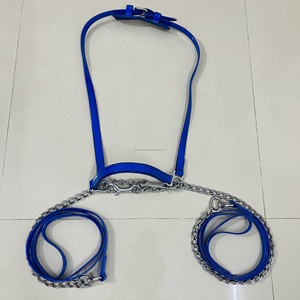 Cadena de hierro de alta calidad Caballo PVC Show Halter Material duradero Producto más vendido de la India - Product Image 5