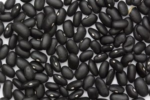 Haricots noirs frais de haute qualité avec emballage personnalisé et services OEM/ODM pour les grossistes et les distributeurs Autriche - Product Image 3