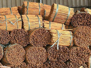 Cannelle de Cassia Yen Bai du Vietnam en gros, de haute qualité, à prix compétitif, 35 cm - 50 cm - Product Image 5