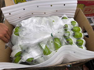 Plátanos Cavendish frescos y madurados naturalmente de Vietnam de grado premium ideales para exportar supermercados minoristas en todo el mundo - Product Image 5