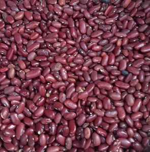 Haricots rouges sains en sacs de jute de 25 kg à vendre / Acheter des haricots rouges pour la consommation humaine en sacs de 50 kg / Haricots rouges à bas prix - Product Image 1