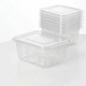 Conteneur jetable transparent en PET RIB de 500 ml – Boîte alimentaire en plastique transparente à charnière pour la restauration à emporter et les services alimentaires - Product Image 3