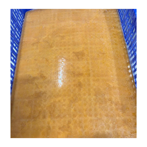 Fournisseur fiable de purée de fruit de la passion congelée avec pépins en provenance du Vietnam, avec des prix d'usine compétitifs et des services d'exportation OEM - Product Image 4