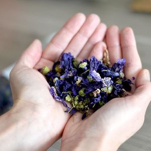 Collected Dried Butterfly Pea Flowers Natural Blue Petals For Beverage Manufacturing <b>Tea</b> Production Bulk Wholesale Vietnam Use - Product Image 4