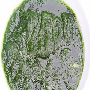 Nueva Temporada de Extracto de Espirulina en Polvo en Botella para Importadores Internacionales y Marcas de Productos Cosméticos de Marca Privada - Product Image 1