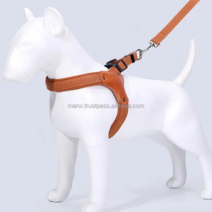 Luxury Fashion Sport <b>Dog</b> <b>Harness</b> Adjustable Y-Shaped Soft Padded Pet Halter Escape-Proof Made of Durable Nylon Fiber - Product Image 4