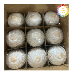 Noix de coco jeune fraîche à découpe diamantée de qualité supérieure, prête à boire, conforme aux normes d'exportation internationales, vente en gros - Product Image 2